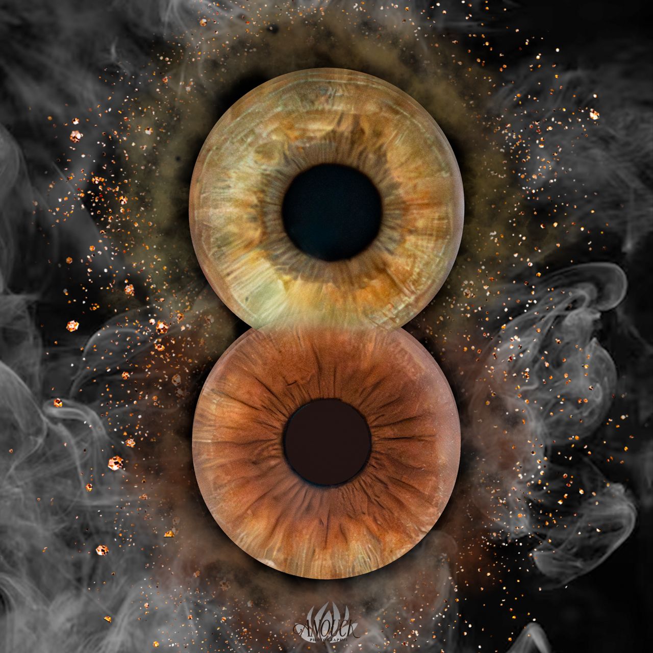 Photographie d’iris artistique réalisée à St-Aubin-Sauges, canton de Neuchâtel