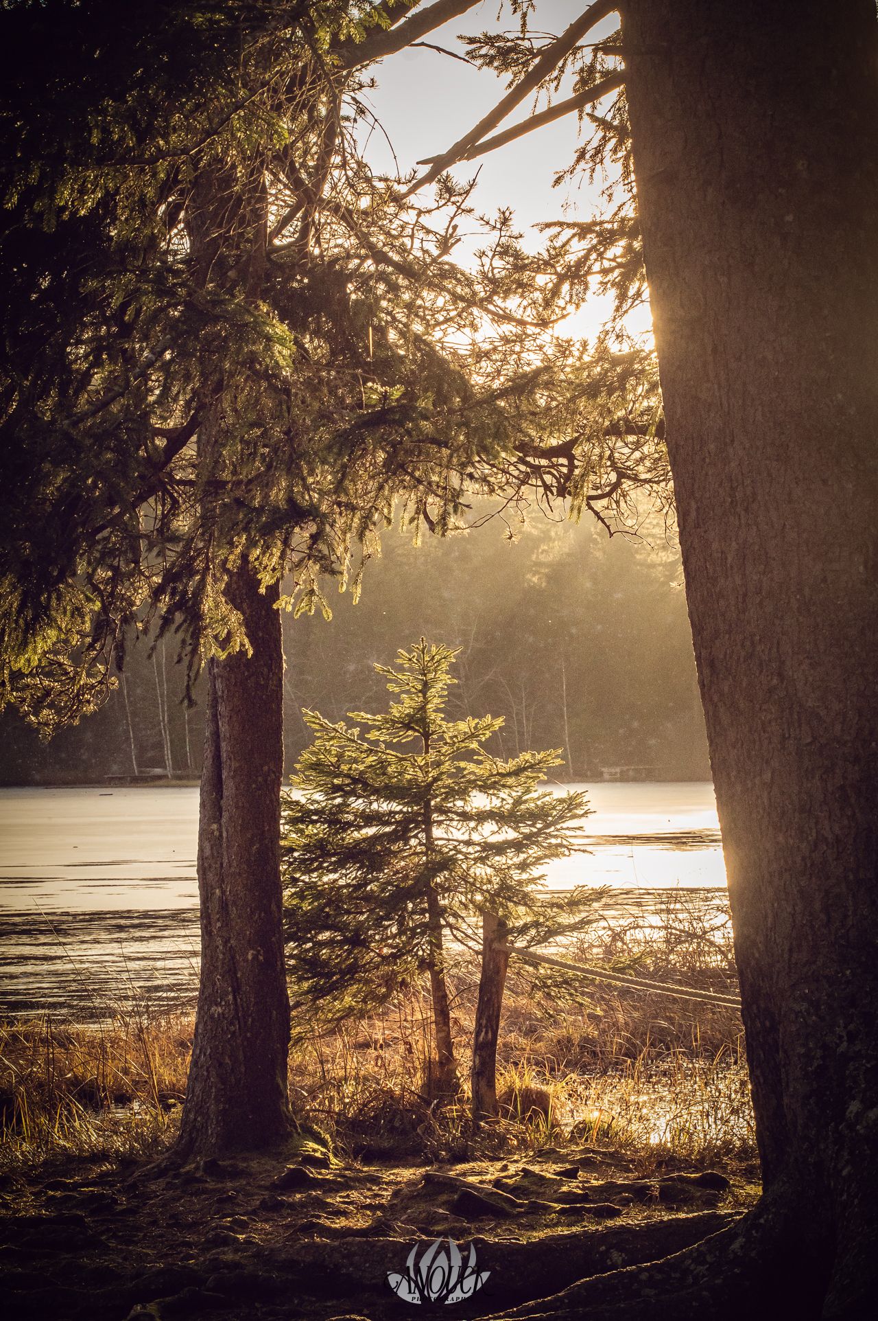 Photographie de l'étang de Gruère dans le Jura Bernois