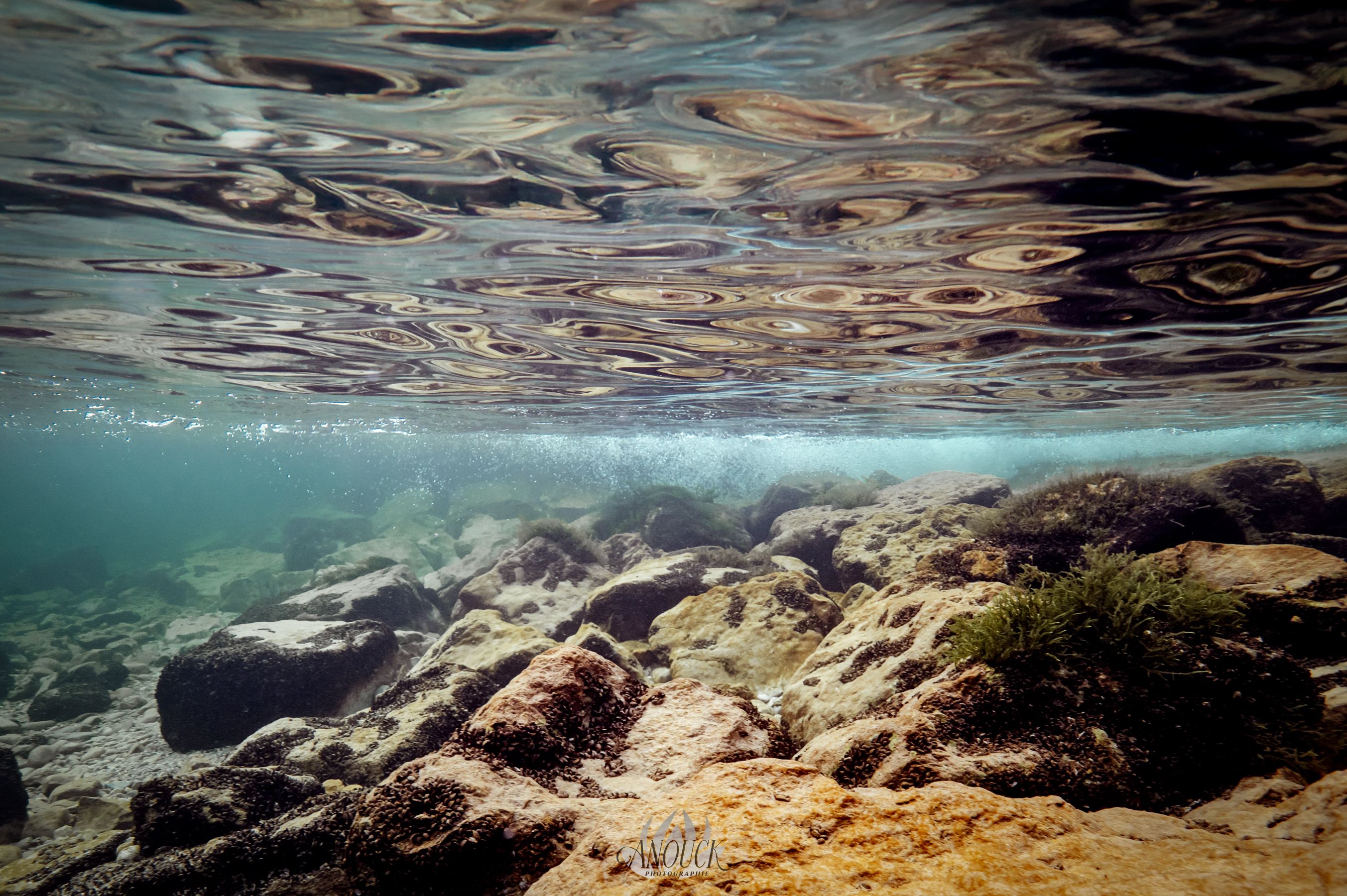 Photographie artistique aquatique du lac de Neuchâtel
