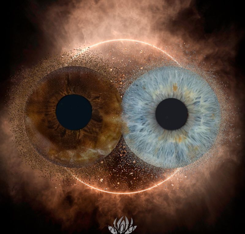 Photographie d’iris artistique réalisée à Neuchâtel