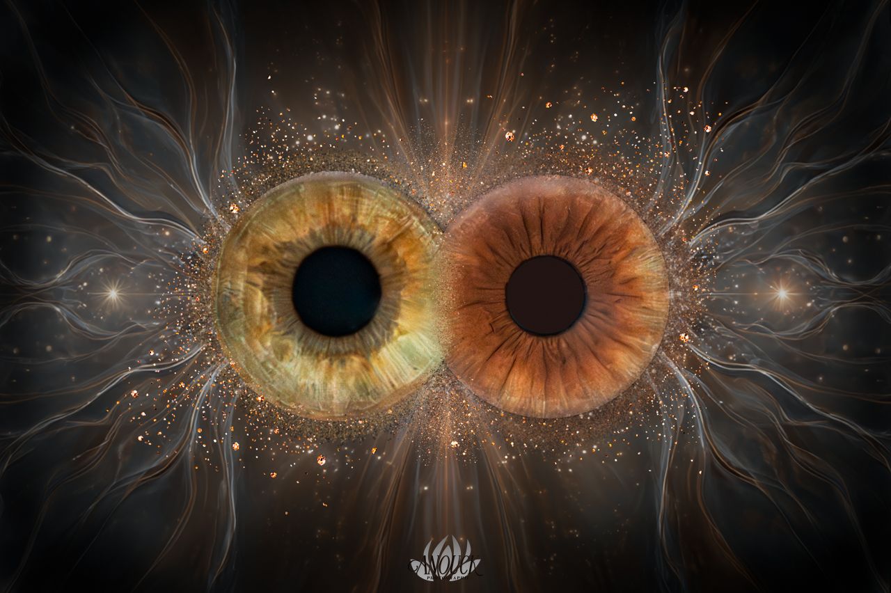 Photographie d’iris artistique réalisée à St-Aubin-Sauges, canton de Neuchâtel