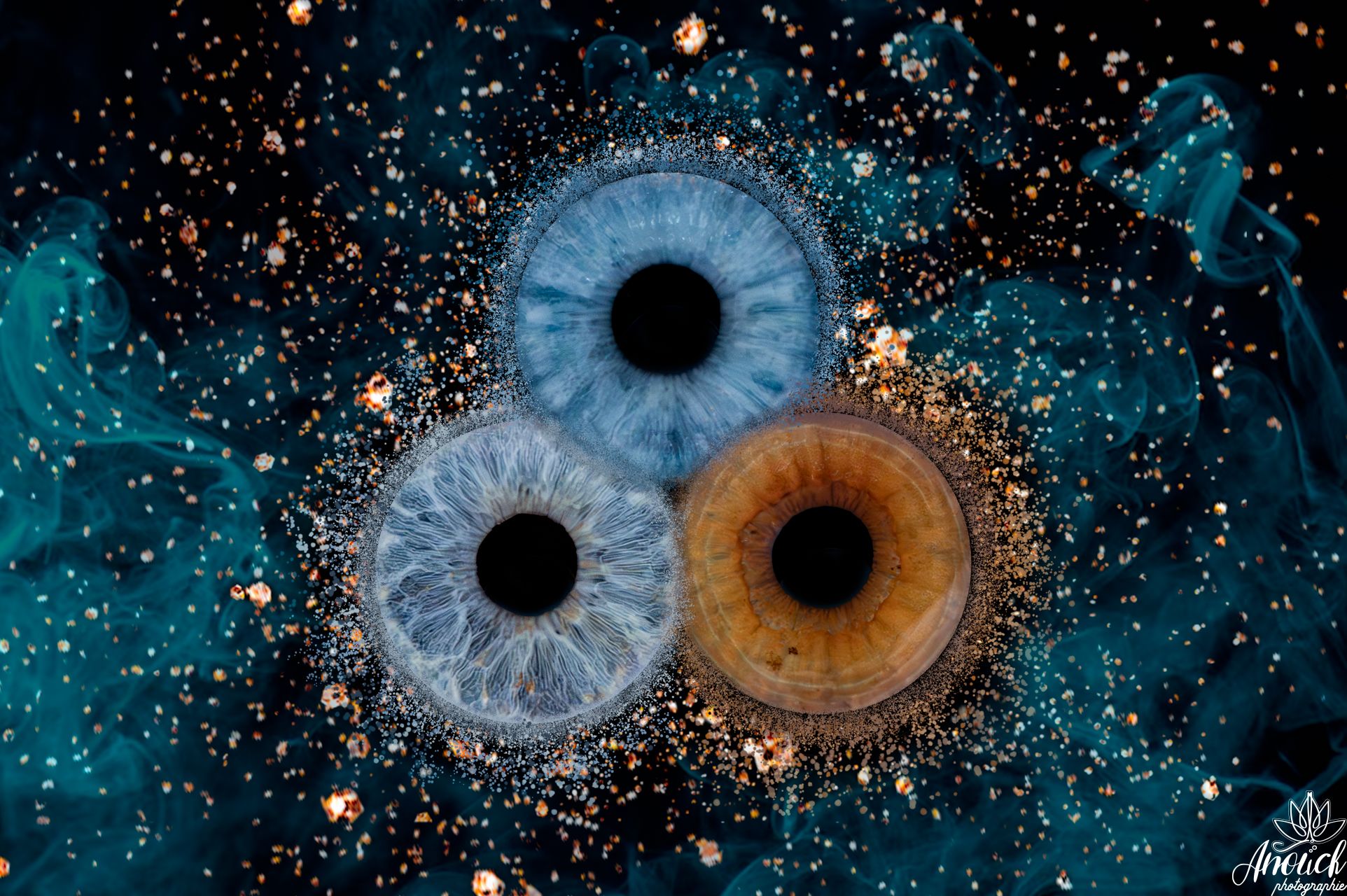 Détail d’iris transformé en œuvre artistique personnalisée