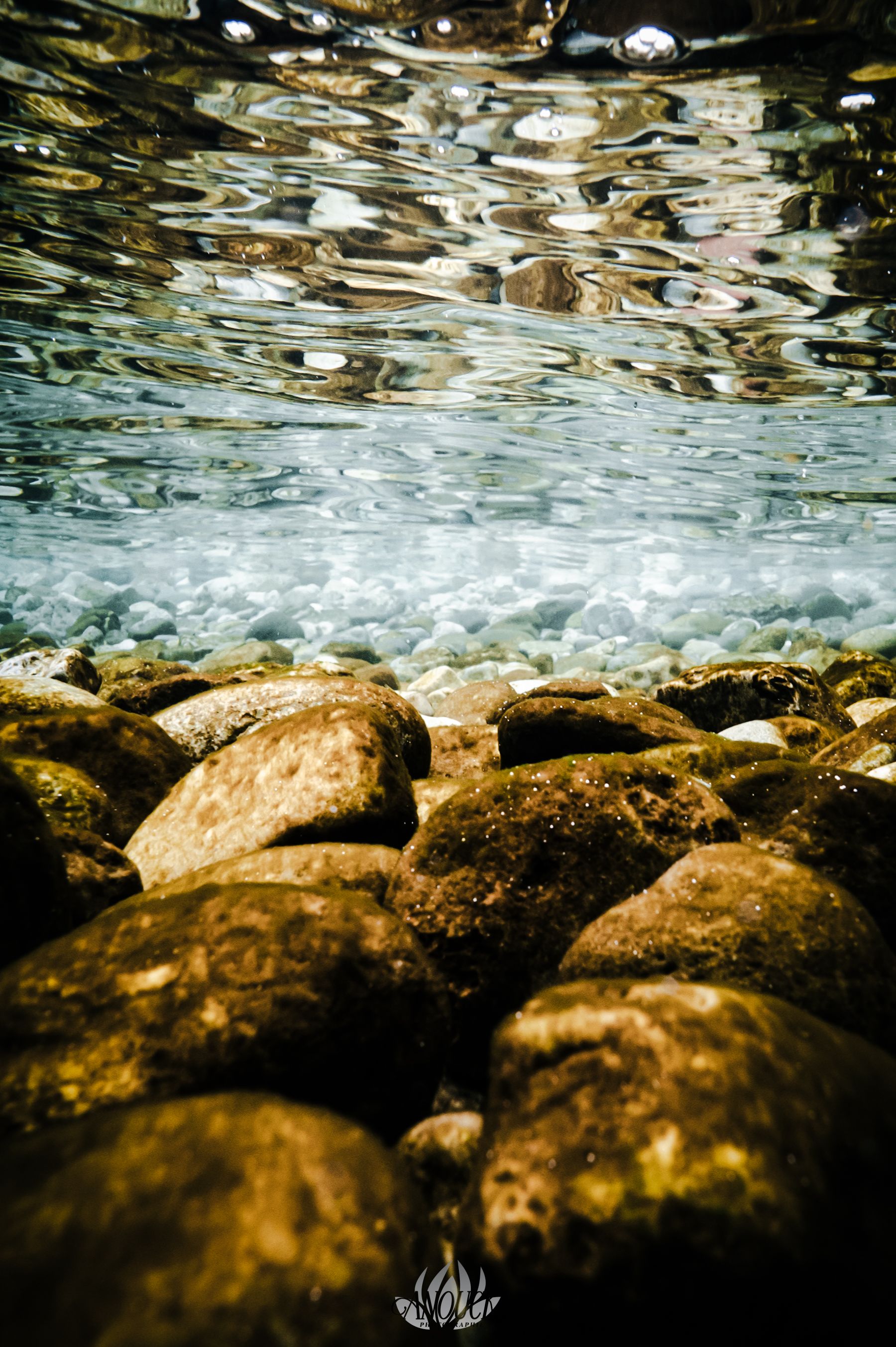 Photographie artistique aquatique du lac de Neuchâtel