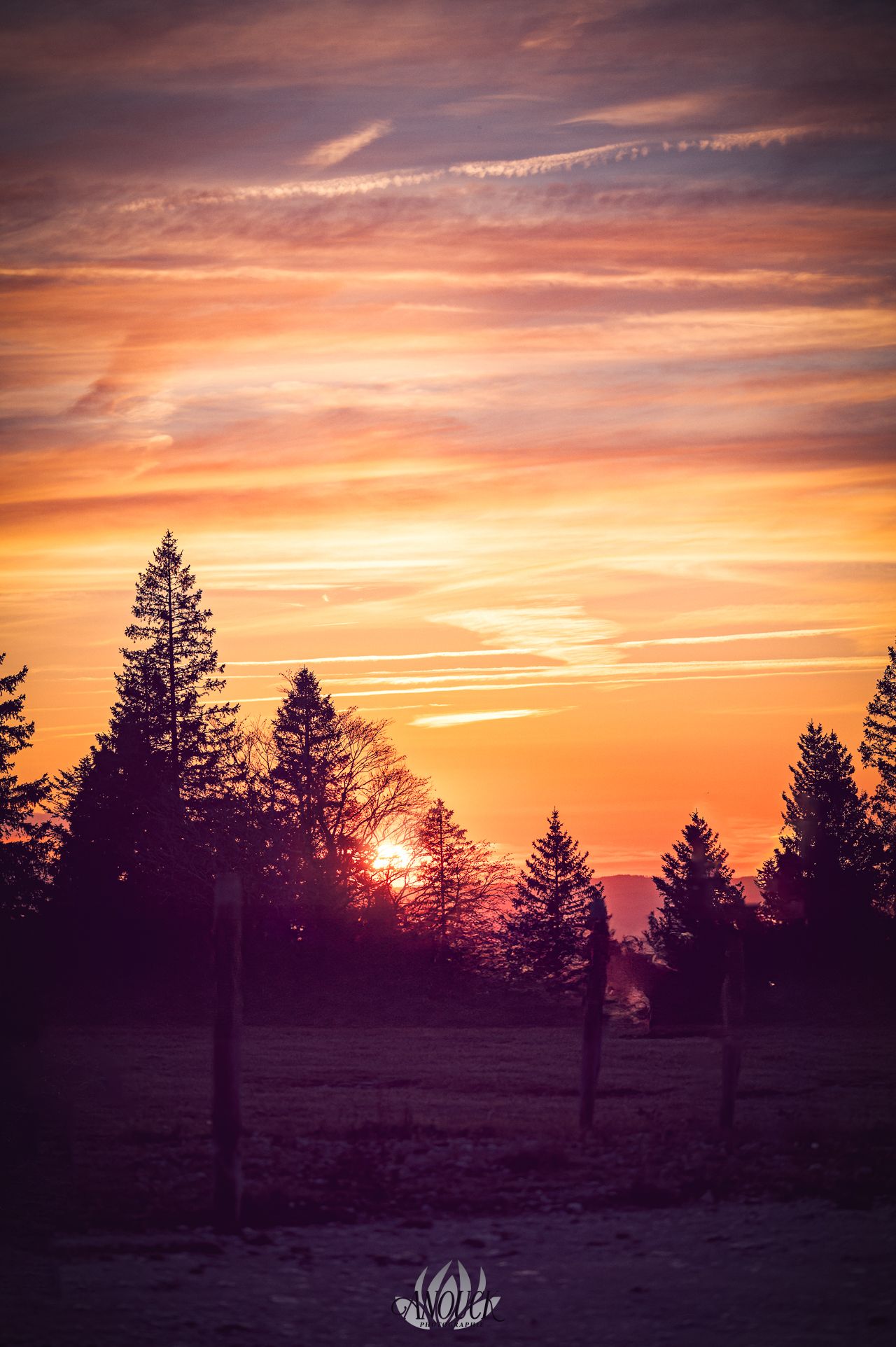 Photographie de paysage au Creux du Van